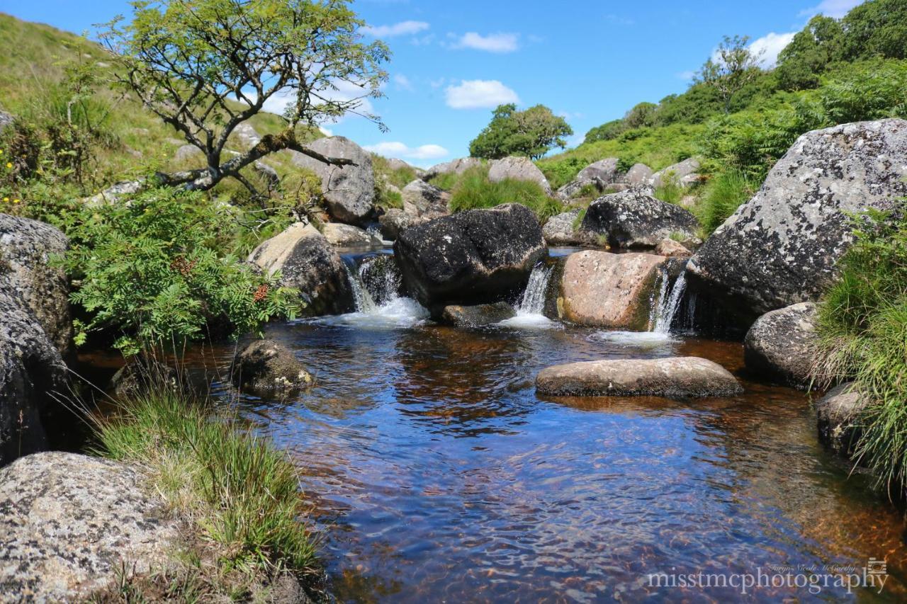 Dartmoor Reach Alpaca Farm Heated Cabins 5 Mins Drive To Dartmoor Bovey Tracey Luaran gambar
