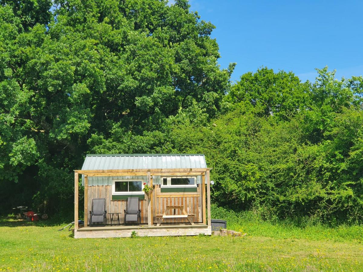 Dartmoor Reach Alpaca Farm Heated Cabins 5 Mins Drive To Dartmoor Bovey Tracey Luaran gambar