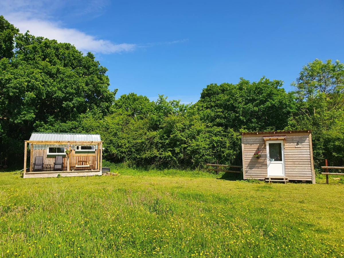 Dartmoor Reach Alpaca Farm Heated Cabins 5 Mins Drive To Dartmoor Bovey Tracey Luaran gambar