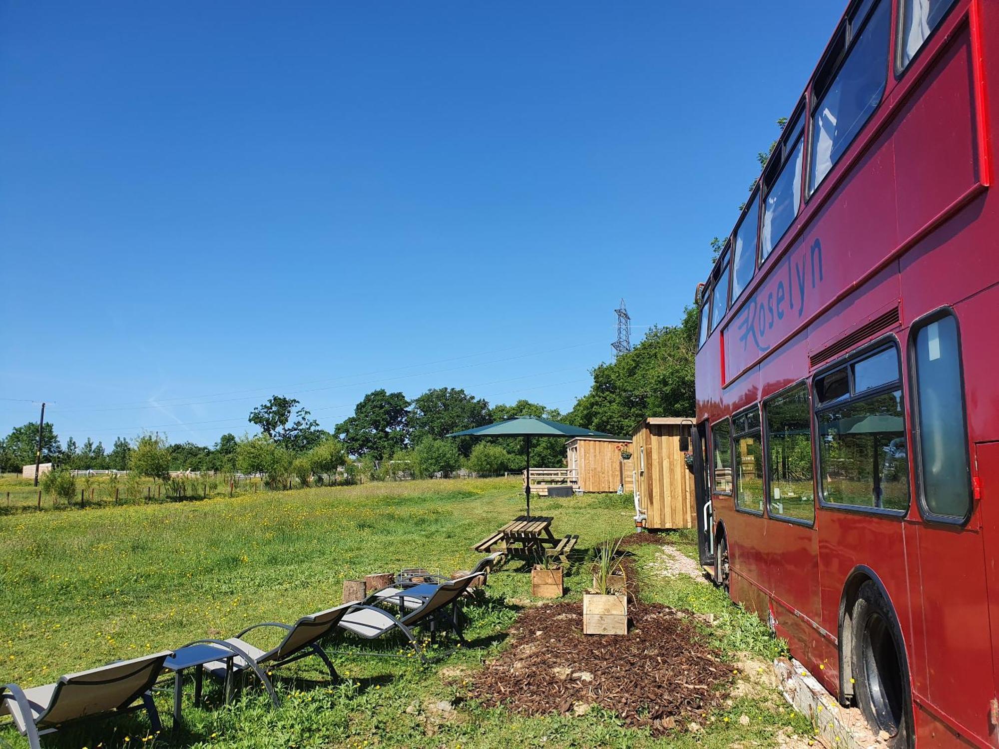 Dartmoor Reach Alpaca Farm Heated Cabins 5 Mins Drive To Dartmoor Bovey Tracey Luaran gambar