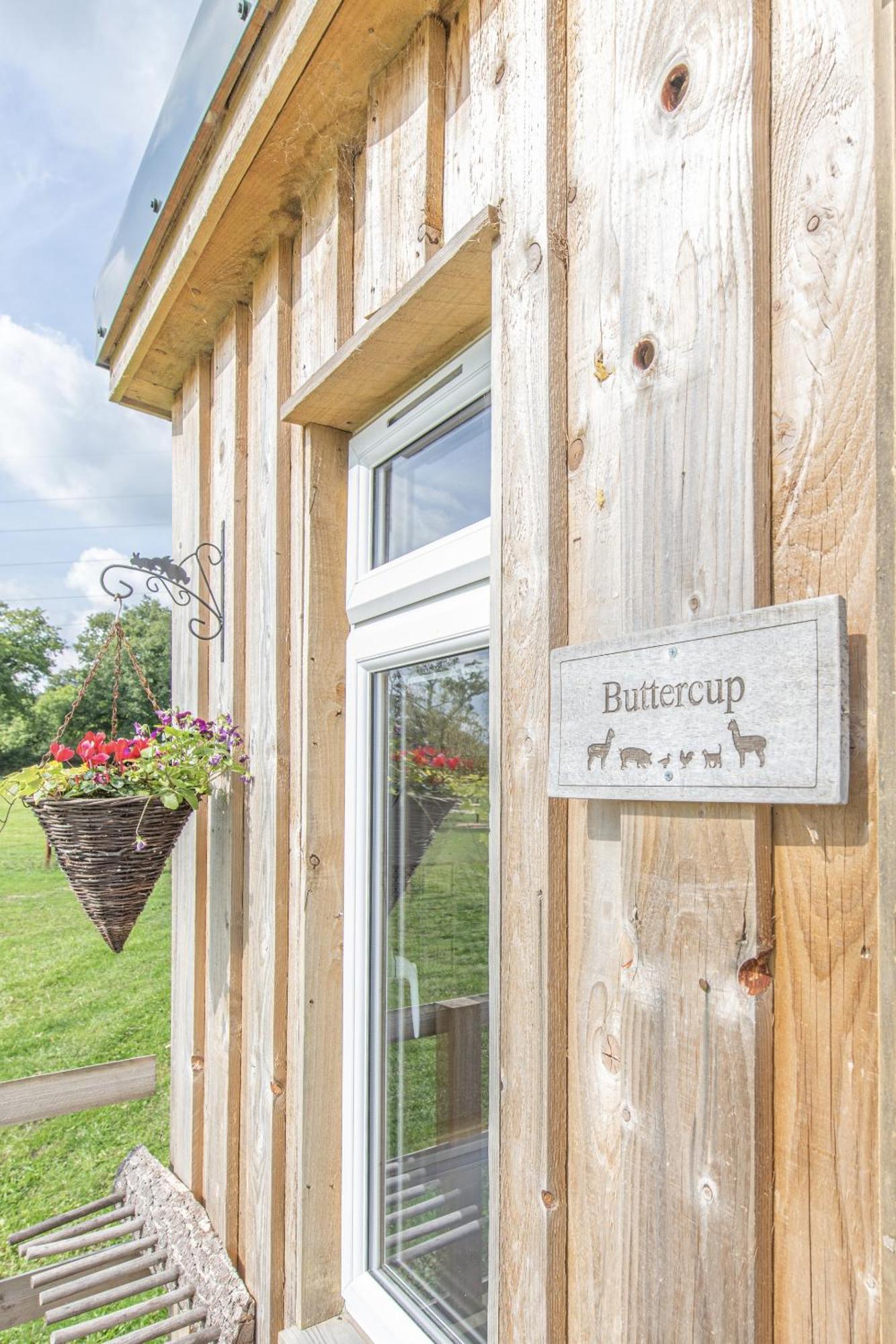 Dartmoor Reach Alpaca Farm Heated Cabins 5 Mins Drive To Dartmoor Bovey Tracey Bilik gambar